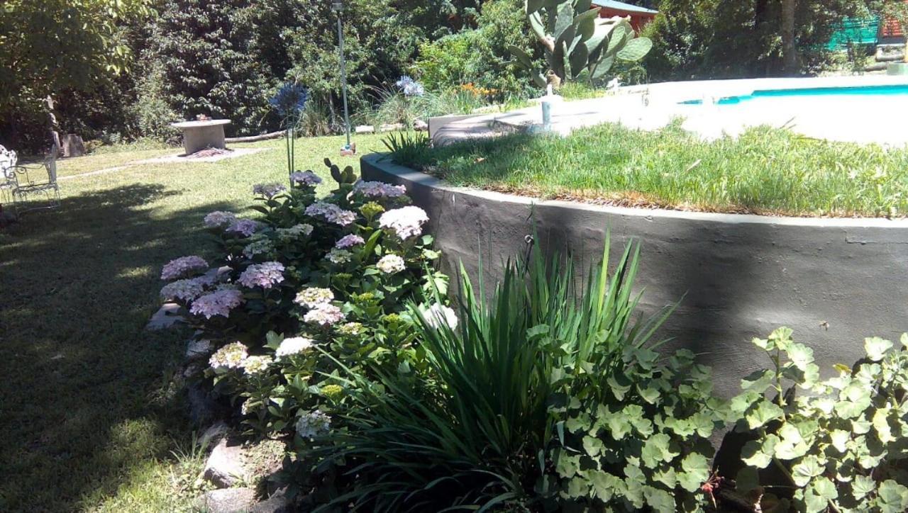 Cabanas Los Platanos La Granja Eksteriør bilde