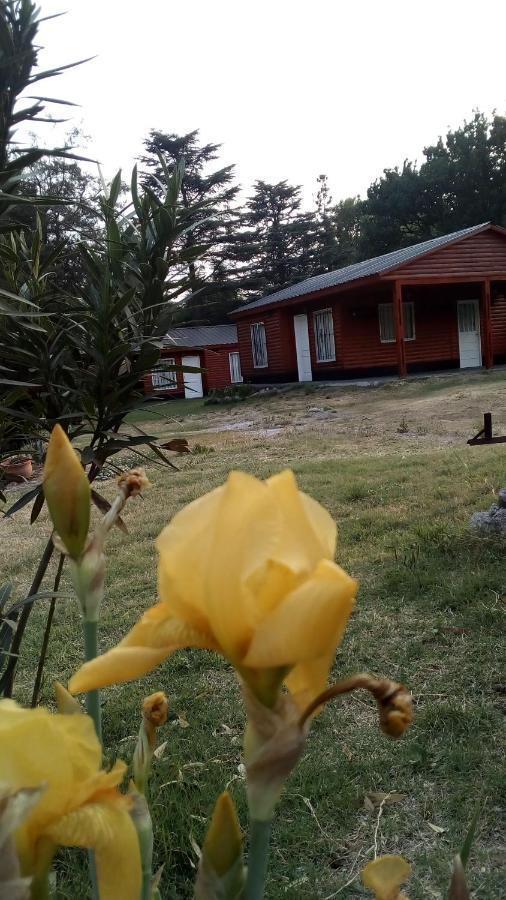 Cabanas Los Platanos La Granja Eksteriør bilde