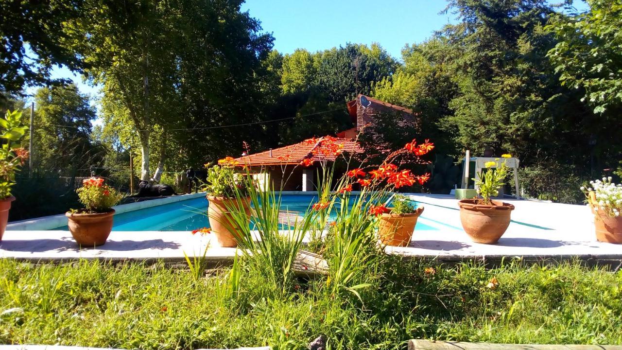 Cabanas Los Platanos La Granja Eksteriør bilde
