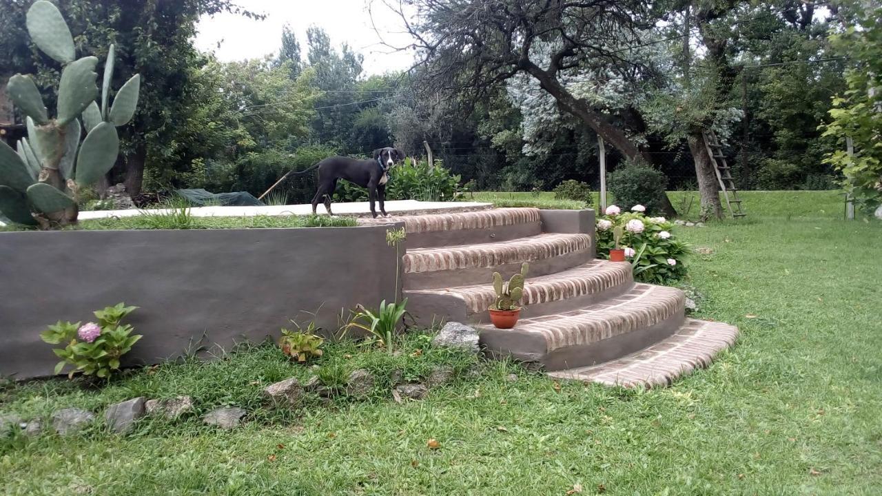 Cabanas Los Platanos La Granja Eksteriør bilde